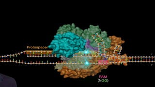 CRISPR-Cas9 : A novel tool for genome editing for crop improvement | PPTX