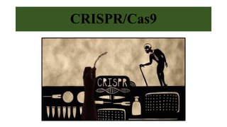 CRISPR-Cas9 : A novel tool for genome editing for crop improvement | PPTX