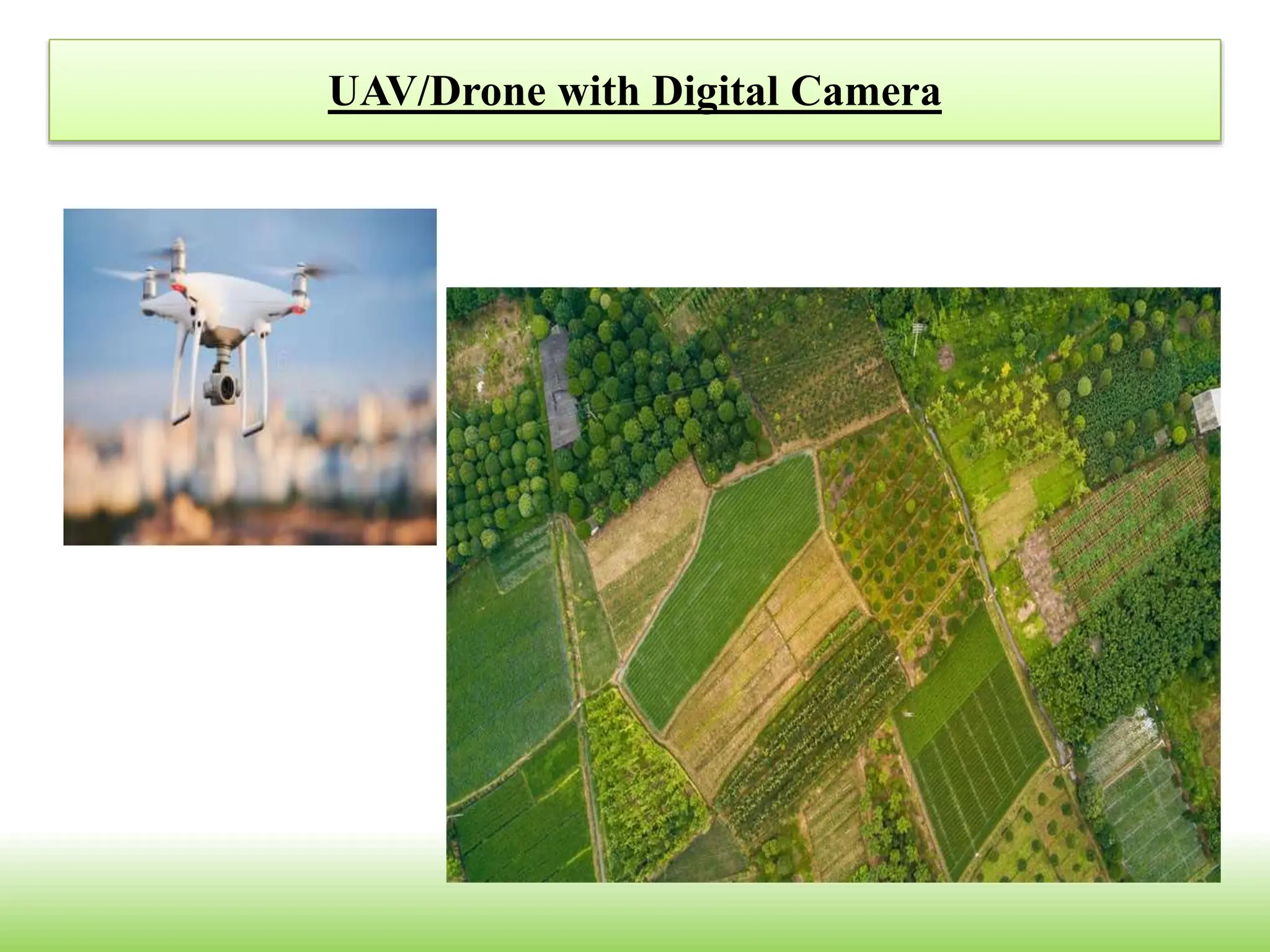 Recent advances on application of remote sensing in fruit production of ...
