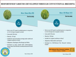 Genetic Biofortification : A sustainable breeding strategy for nutrient ...