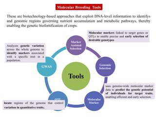 Genetic Biofortification : A sustainable breeding strategy for nutrient ...