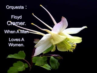 Orquesta :
Floyd
Cramer.
When A Man
Loves A
Women.
 