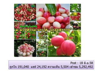 Post : 18 มิ.ย.58
ถูกใจ 191,040 แชร์ 24,192 ความเห็น 5,504 เข ้าชม 5,292,492
 