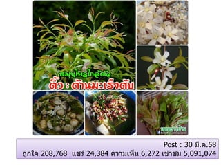 Post : 30 มี.ค.58
ถูกใจ 208,768 แชร์ 24,384 ความเห็น 6,272 เข ้าชม 5,091,074
 