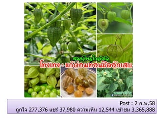 Post : 2 ก.พ.58
ถูกใจ 277,376 แชร์ 37,980 ความเห็น 12,544 เข ้าชม 3,365,888
 