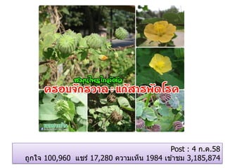 Post : 4 ก.ค.58
ถูกใจ 100,960 แชร์ 17,280 ความเห็น 1984 เข ้าชม 3,185,874
 