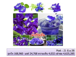 Post : 21 มิ.ย.58
ถูกใจ 168,960 แชร์ 24,768 ความเห็น 4,032 เข ้าชม 4,625,285
 