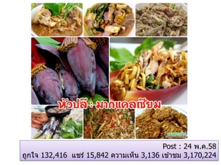 Post : 24 พ.ค.58
ถูกใจ 132,416 แชร์ 15,842 ความเห็น 3,136 เข ้าชม 3,170,224
 