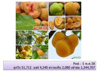 Post : 5 พ.ค.58
ถูกใจ 51,712 แชร์ 4,240 ความเห็น 2,080 เข ้าชม 1,344,707
 