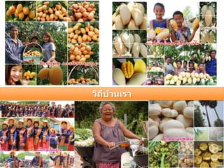 วิถีบ้านเรา
 