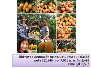 วิถีบ ้านเรา : สวนมะยงชิด มะปรางหวาน Post : 14 มี.ค.58
ถูกใจ 212,846 แชร์ 7,051 ความเห็น 2,496
เข ้าชม 2,030,592
 