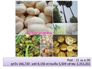 Post : 21 เม.ย.58
ถูกใจ 166,720 แชร์ 8,156 ความเห็น 5,504 เข ้าชม 3,353,202
 