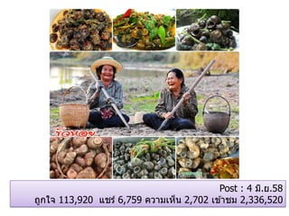 Post : 4 มิ.ย.58
ถูกใจ 113,920 แชร์ 6,759 ความเห็น 2,702 เข ้าชม 2,336,520
 