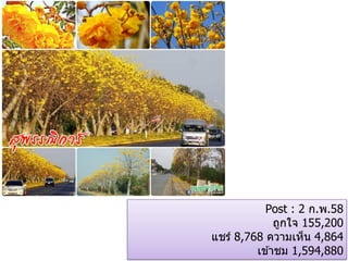 Post : 2 ก.พ.58
ถูกใจ 155,200
แชร์ 8,768 ความเห็น 4,864
เข ้าชม 1,594,880
 