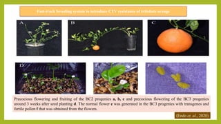 Recent advances in Crop Improvement- Introduction, Selection, Clonal ...