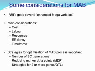 Some considerations for MAB
• IRRI’s goal: several “enhanced Mega varieties”
• Main considerations:
– Cost
– Labour
– Resources
– Efficiency
– Timeframe
• Strategies for optimization of MAB process important
– Number of BC generations
– Reducing marker data points (MDP)
– Strategies for 2 or more genes/QTLs
 