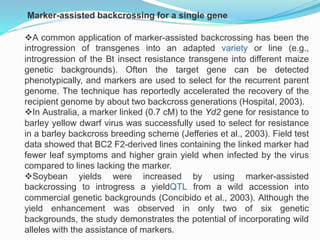 A common application of marker-assisted backcrossing has been the
introgression of transgenes into an adapted variety or line (e.g.,
introgression of the Bt insect resistance transgene into different maize
genetic backgrounds). Often the target gene can be detected
phenotypically, and markers are used to select for the recurrent parent
genome. The technique has reportedly accelerated the recovery of the
recipient genome by about two backcross generations (Hospital, 2003).
In Australia, a marker linked (0.7 cM) to the Yd2 gene for resistance to
barley yellow dwarf virus was successfully used to select for resistance
in a barley backcross breeding scheme (Jefferies et al., 2003). Field test
data showed that BC2 F2-derived lines containing the linked marker had
fewer leaf symptoms and higher grain yield when infected by the virus
compared to lines lacking the marker.
Soybean yields were increased by using marker-assisted
backcrossing to introgress a yieldQTL from a wild accession into
commercial genetic backgrounds (Concibido et al., 2003). Although the
yield enhancement was observed in only two of six genetic
backgrounds, the study demonstrates the potential of incorporating wild
alleles with the assistance of markers.
Marker-assisted backcrossing for a single gene
 