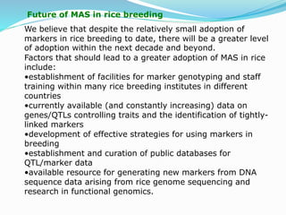 Future of MAS in rice breeding
We believe that despite the relatively small adoption of
markers in rice breeding to date, there will be a greater level
of adoption within the next decade and beyond.
Factors that should lead to a greater adoption of MAS in rice
include:
•establishment of facilities for marker genotyping and staff
training within many rice breeding institutes in different
countries
•currently available (and constantly increasing) data on
genes/QTLs controlling traits and the identification of tightly-
linked markers
•development of effective strategies for using markers in
breeding
•establishment and curation of public databases for
QTL/marker data
•available resource for generating new markers from DNA
sequence data arising from rice genome sequencing and
research in functional genomics.
 