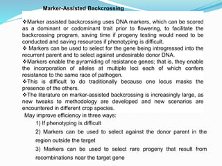 Marker-Assisted Backcrossing
May improve efficiency in three ways:
1) If phenotyping is difficult
2) Markers can be used to select against the donor parent in the
region outside the target
3) Markers can be used to select rare progeny that result from
recombinations near the target gene
Marker assisted backcrossing uses DNA markers, which can be scored
as a dominant or codominant trait prior to flowering, to facilitate the
backcrossing program, saving time if progeny testing would need to be
conducted and saving resources if phenotyping is difficult.
 Markers can be used to select for the gene being introgressed into the
recurrent parent and to select against undesirable donor DNA.
Markers enable the pyramiding of resistance genes; that is, they enable
the incorporation of alleles at multiple loci each of which confers
resistance to the same race of pathogen.
This is difficult to do traditionally because one locus masks the
presence of the others.
The literature on marker-assisted backcrossing is increasingly large, as
new tweaks to methodology are developed and new scenarios are
encountered in different crop species.
 