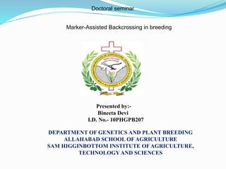 Marker-Assisted Backcrossing in breeding
Doctoral seminar
Presented by:-
Bineeta Devi
I.D. No.- 10PHGPB207
DEPARTMENT OF GENETICS AND PLANT BREEDING
ALLAHABAD SCHOOL OF AGRICULTURE
SAM HIGGINBOTTOM INSTITUTE OF AGRICULTURE,
TECHNOLOGY AND SCIENCES
 