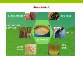 Jeevamrut
 