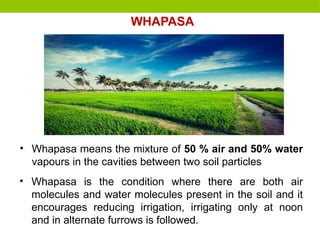 • Whapasa is the condition where there are both air
molecules and water molecules present in the soil and it
encourages reducing irrigation, irrigating only at noon
and in alternate furrows is followed.
WHAPASA
• Whapasa means the mixture of 50 % air and 50% water
vapours in the cavities between two soil particles
 