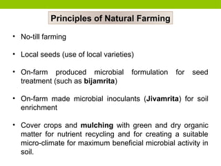 Principles of Natural Farming
• No-till farming
• Local seeds (use of local varieties)
• On-farm produced microbial formulation for seed
treatment (such as bijamrita)
• On-farm made microbial inoculants (Jivamrita) for soil
enrichment
• Cover crops and mulching with green and dry organic
matter for nutrient recycling and for creating a suitable
micro-climate for maximum beneficial microbial activity in
soil.
 
