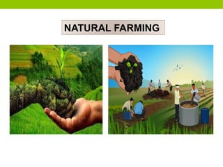 NATURAL FARMING
NATURAL FARMING
 