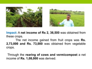 Impact: A net income of Rs 2, 36,500 was obtained from
these crops.
The net income gained from fruit crops was Rs.
2,73,000 and Rs. 73,000 was obtained from vegetable
crops.
Through the rearing of cows and vermicompost a net
income of Rs. 1,08,000 was derived.
 