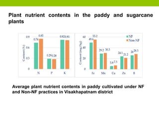Plant nutrient contents in the paddy and sugarcane
plants
Average plant nutrient contents in paddy cultivated under NF
and Non-NF practices in Visakhapatnam district
 