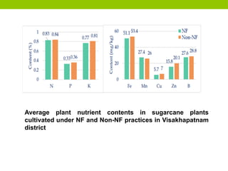 Average plant nutrient contents in sugarcane plants
cultivated under NF and Non-NF practices in Visakhapatnam
district
 