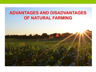 ADVANTAGES AND DISADVANTAGES
OF NATURAL FARMING
 