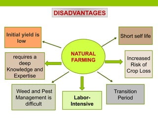 DISADVANTAGES
NATURAL
FARMING Increased
Risk of
Crop Loss
Labor-
Intensive
Weed and Pest
Management is
difficult
Transition
Period
requires a
deep
Knowledge and
Expertise
Initial yield is
low
Short self life
 