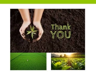 Natural Farming by Neha Nevendra 