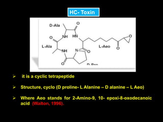 HC- Toxin
 it is a cyclic tetrapeptide
 Structure, cyclo (D proline- L Alanine – D alanine – L Aeo)
 Where Aeo stands for 2-Amino-9, 10- epoxi-8-oxodecanoic
acid (Walton, 1996).
 