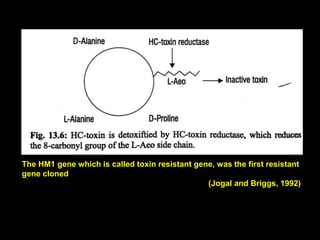 The HM1 gene which is called toxin resistant gene, was the first resistant
gene cloned
(Jogal and Briggs, 1992)
 