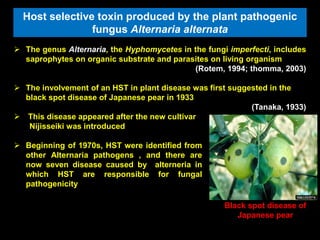 Host selective toxin produced by the plant pathogenic
fungus Alternaria alternata
 The genus Alternaria, the Hyphomycetes in the fungi imperfecti, includes
saprophytes on organic substrate and parasites on living organism
(Rotem, 1994; thomma, 2003)
 The involvement of an HST in plant disease was first suggested in the
black spot disease of Japanese pear in 1933
(Tanaka, 1933)
 This disease appeared after the new cultivar
Nijisseiki was introduced
Black spot disease of
Japanese pear
 Beginning of 1970s, HST were identified from
other Alternaria pathogens , and there are
now seven disease caused by alterneria in
which HST are responsible for fungal
pathogenicity
 