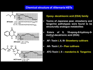 Chemical structure of Alternaria HSTs
Epoxy- decatrieonic acid (EDA) family
 Toxins of Japanese pear, strawberry and
tangerine pathotypes were found to be
structurally analogue metabolites
 Esters of 9, 10-epoxy-8-hydroxy-9-
methyl-decatrionic acid (EDA)
 AF- Toxin I, II, III- Strawberry cultivars
 AK- Toxin I, II – Pear cultivars
 ATC-Toxin I, II – mandarins & Tangerins
Host-selective toxins produced by Alternaria alternata 47
O EDA 2,3-DHIV
COOH O OH
 