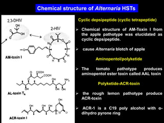 Chemical structure of Alternaria HSTs
Cyclic depsipeptide (cyclic tetrapeptide)
 Chemical structure of AM-Toxin I from
the apple pathotype was elucidated as
cyclic depsipeptide.
 cause Alternaria blotch of apple
Aminopentol/polyketide
 The tomato pathotype produces
aminopentol ester toxin called AAL toxin
Polyketide-ACR-toxin
 the rough lemon pathotype produce
ACR-toxin
 ACR-1 is a C19 poly alcohol with α-
dihydro pyrone ring
 