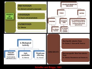 SOURCE
OF
ORIGIN
Scheffer and Briggs, 1981
 
