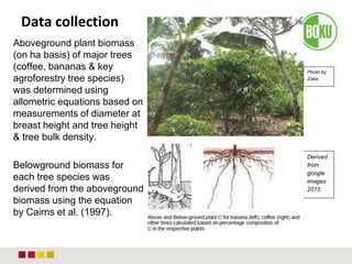 Data collection
Aboveground plant biomass
(on ha basis) of major trees
(coffee, bananas & key
agroforestry tree species)
was determined using
allometric equations based on
measurements of diameter at
breast height and tree height
& tree bulk density.
Belowground biomass for
each tree species was
derived from the aboveground
biomass using the equation
by Cairns et al. (1997).
Photo by
Zake
Derived
from
google
images
2015
 