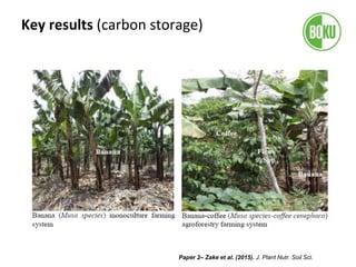 Paper 2– Zake et al. (2015). J. Plant Nutr. Soil Sci.
Key results (carbon storage)
 