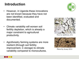 Introduction
• However, in Uganda these innovations
are not known because they have not
been identified, evaluated and
documented.
• Climate variability will worsen soil
fertility depletion, which is already a
major constraint to agricultural
productivity.
• Agroforestry farming systems are more
resilient (through soil fertility
improvement, C storage) to climate
variability compared to monocultures.
 