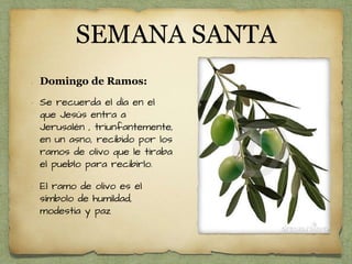 SEMANA SANTA
• Domingo de Ramos:
• Se recuerda el día en el
que Jesús entra a
Jerusalén , triunfantemente,
en un asno, recibido por los
ramos de olivo que le tiraba
el pueblo para recibirlo.
• El ramo de olivo es el
símbolo de humildad,
modestia y paz
 