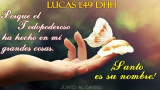 la Importancia de la Doctrina