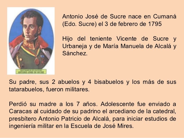 Pensamiento Bolivariano Las 5 Raices