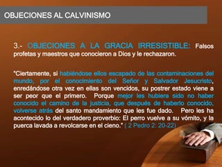 OBJECIONES AL CALVINISMO
3.- OBJECIONES A LA GRACIA IRRESISTIBLE: Falsos
profetas y maestros que conocieron a Dios y le rechazaron.
“Ciertamente, si habiéndose ellos escapado de las contaminaciones del
mundo, por el conocimiento del Señor y Salvador Jesucristo,
enredándose otra vez en ellas son vencidos, su postrer estado viene a
ser peor que el primero. Porque mejor les hubiera sido no haber
conocido el camino de la justicia, que después de haberlo conocido,
volverse atrás del santo mandamiento que les fue dado. Pero les ha
acontecido lo del verdadero proverbio: El perro vuelve a su vómito, y la
puerca lavada a revolcarse en el cieno.” ( 2 Pedro 2: 20-22)
 