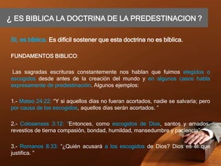 ¿ ES BIBLICA LA DOCTRINA DE LA PREDESTINACION ?
Sí, es bíblica. Es difícil sostener que esta doctrina no es bíblica.
FUNDAMENTOS BIBLICO:
Las sagradas escrituras constantemente nos hablan que fuimos elegidos o
escogidos desde antes de la creación del mundo y en algunos casos habla
expresamente de predestinación. Algunos ejemplos:
1.- Mateo 24:22: “Y si aquellos días no fueran acortados, nadie se salvaría; pero
por causa de los escogidos, aquellos días serán acortados. ”
2.- Colosenses 3:12: “Entonces, como escogidos de Dios, santos y amados,
revestíos de tierna compasión, bondad, humildad, mansedumbre y paciencia”
3.- Romanos 8:33: “¿Quién acusará a los escogidos de Dios? Dios es el que
justifica. ”
 