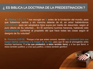¿ ES BIBLICA LA DOCTRINA DE LA PREDESTINACION ?
4.- Efesios 1:5 y 11: ” nos escogió en él antes de la fundación del mundo, para
que fuésemos santos y sin mancha delante de él, en amor habiéndonos
predestinado para ser adoptados hijos suyos por medio de Jesucristo, según el
puro afecto de Su voluntad.... En Él asimismo tuvimos herencia, habiendo sido
predestinados conforme al propósito del que hace todas las cosas según el
designio de Su voluntad”
5.- Romanos 8:29-30. “Porque a los que antes conoció, también los predestinó para que
fuesen hechos conformes a la imagen de Su Hijo, para que Él sea el primogénito entre
muchos hermanos. Y a los que predestinó, a éstos también llamó; y a los que llamó, a
éstos también justificó; y a los que justificó, a éstos también glorificó”.
 