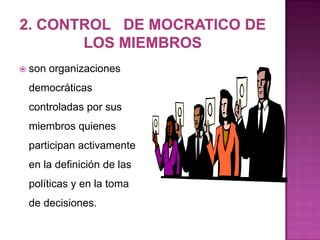    son organizaciones
    democráticas
    controladas por sus
    miembros quienes
    participan activamente
    en la definición de las
    políticas y en la toma
    de decisiones.
 